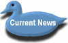 Current News
