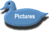 Pictures